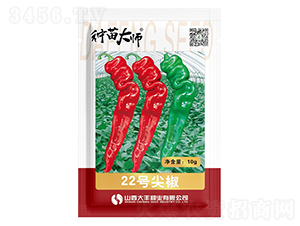 22̖⽷-ݽzN-SNI