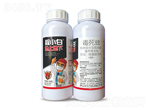 30%΢ґҸ-Сסϵ-rrI