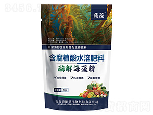 酶解海藻精-純?cè)?海能量