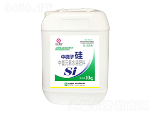10kg΢ӹ-rڈ@