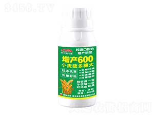 300gСYa600-r