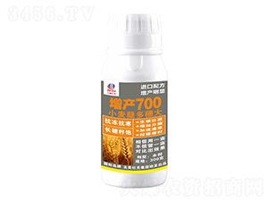 300gСYa700-r
