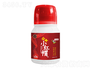 金標(biāo)小紅帽-公牛國際