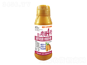 500g}PMڇ4̖-r