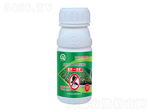 農(nóng)用殺蟲助劑樟腦精油-苗床·一涂安-強(qiáng)農(nóng)