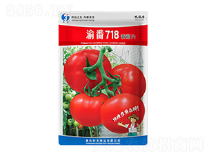 巬718-ƹN