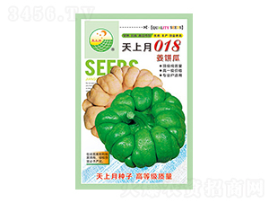 姜柄瓜種子-天上月018-太樂(lè)種業(yè)