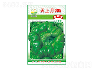 姜柄瓜種子-天上月005-太樂(lè)種業(yè)