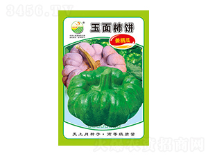 姜柄瓜種子-玉面柿餅-太樂(lè)種業(yè)