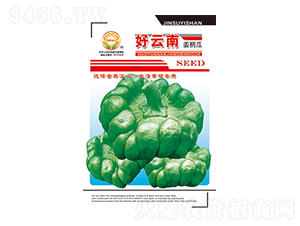 姜柄瓜種子-好云南-太樂(lè)種業(yè)