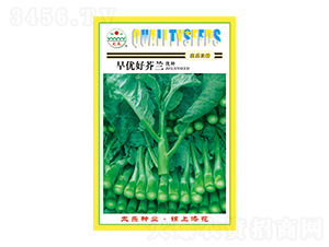 mN-烞ým-̫NI