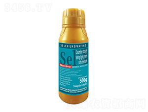 500SֱG1̖-r